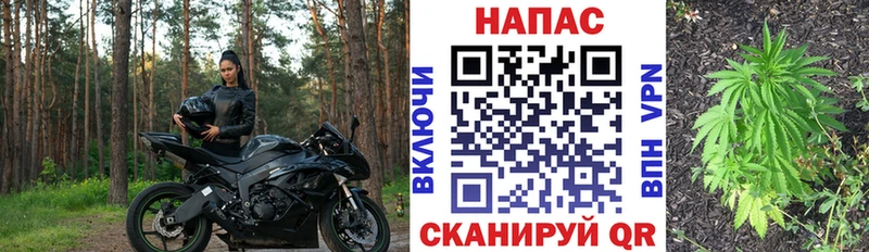 Марихуана Курган