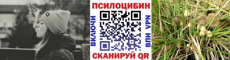 Псилоцибиновые грибы MAGIC MUSHROOMS  Купить где  Курган 